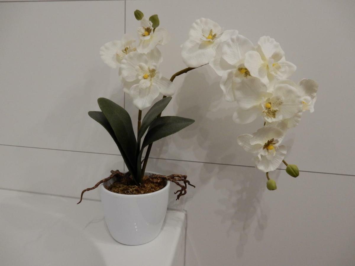 Ferienwohnung Fernblick Neukirchen vorm Wald 외부 사진